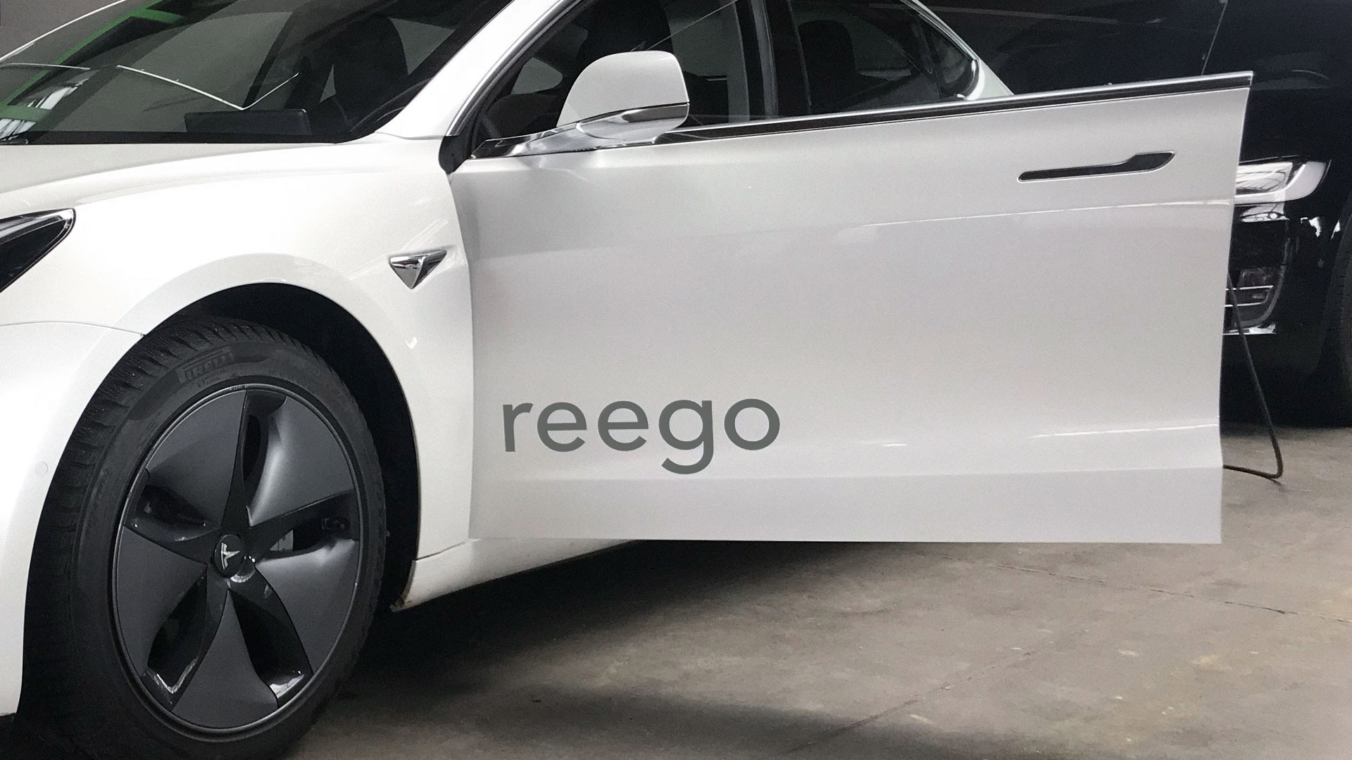 Gallery Reego wordmark on a white tesla car